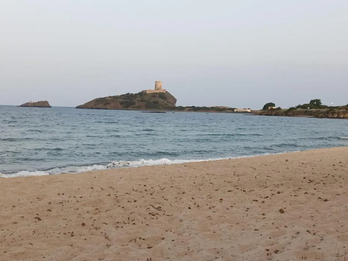 La Pecorella In Vacanza Iun R3384 Pula