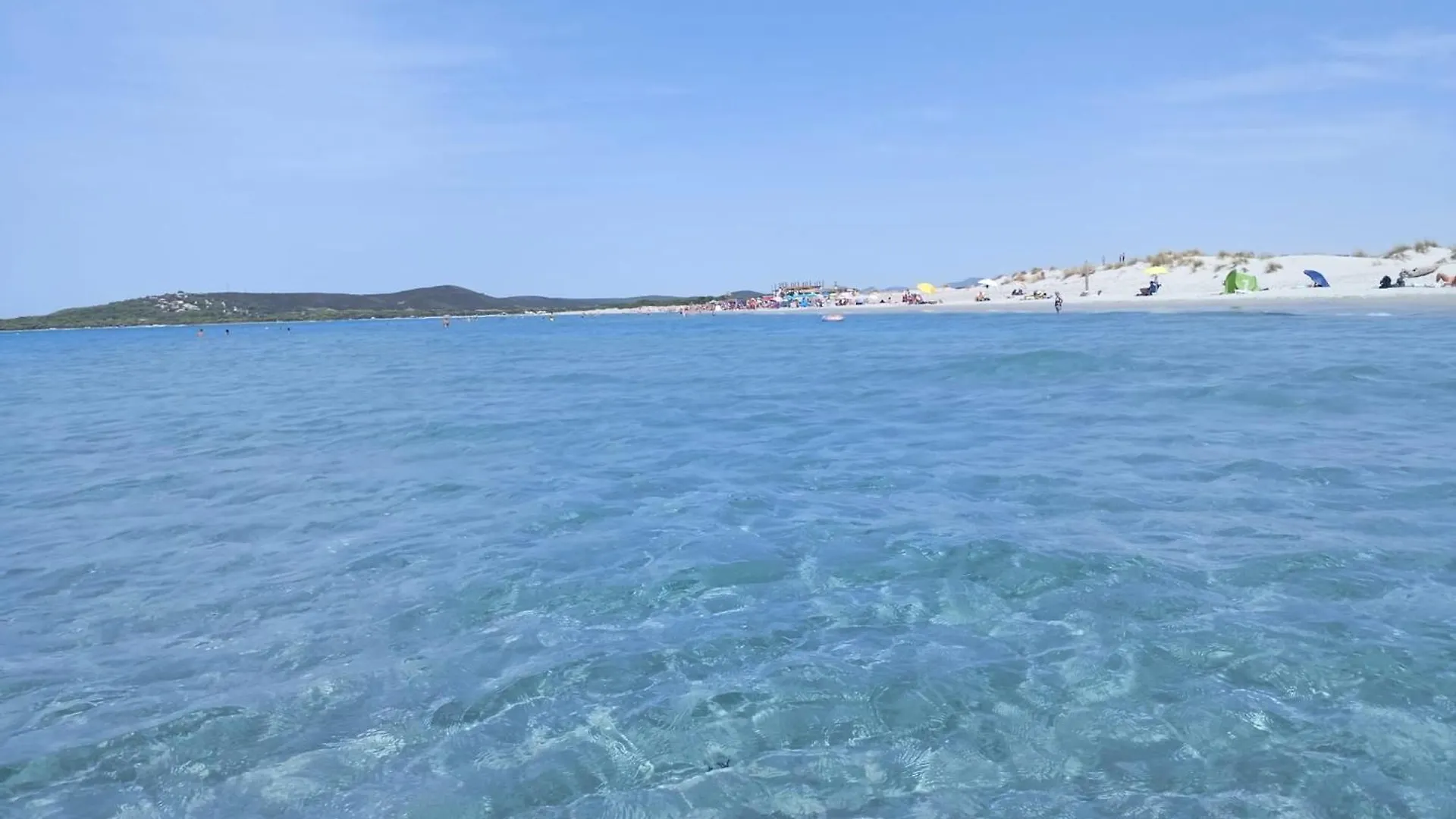 La Pecorella In Vacanza Iun R3384 Pula 0*,
