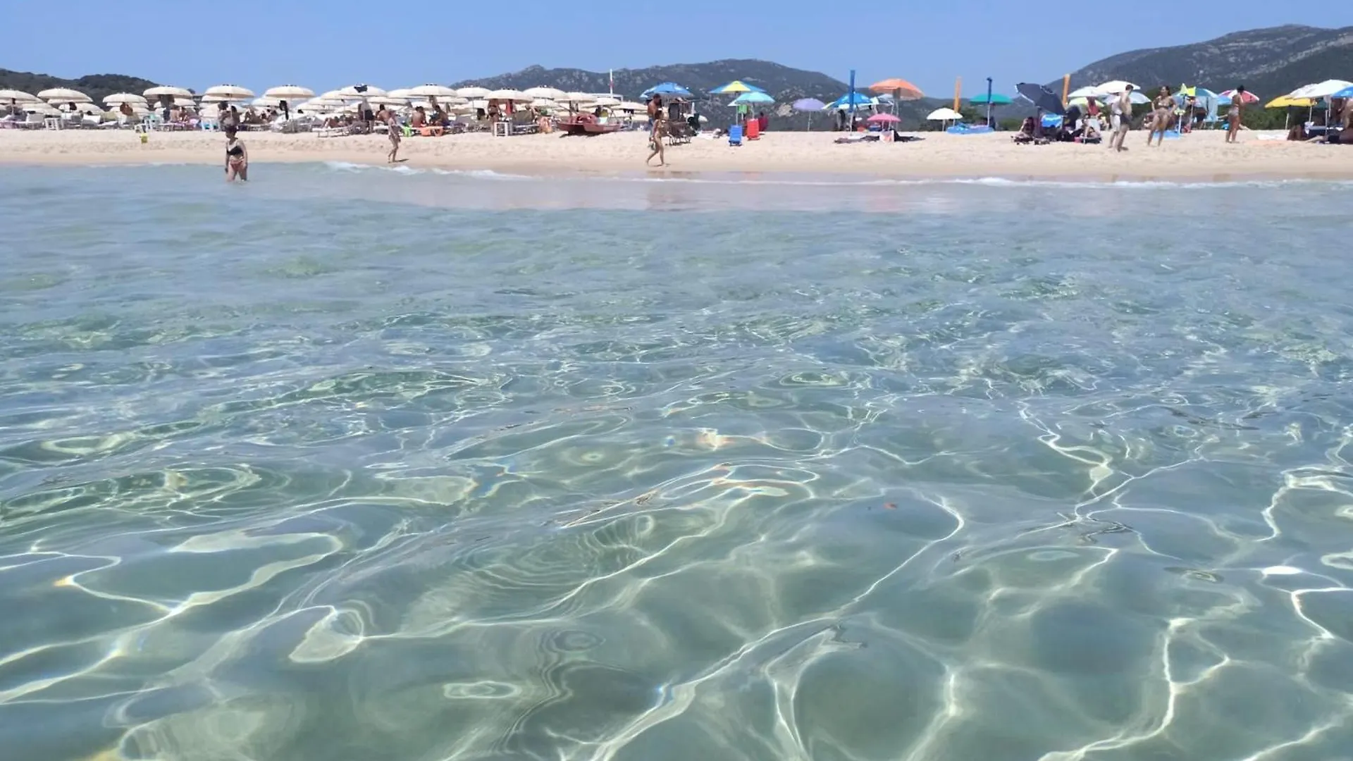 La Pecorella In Vacanza Iun R3384 Pula
