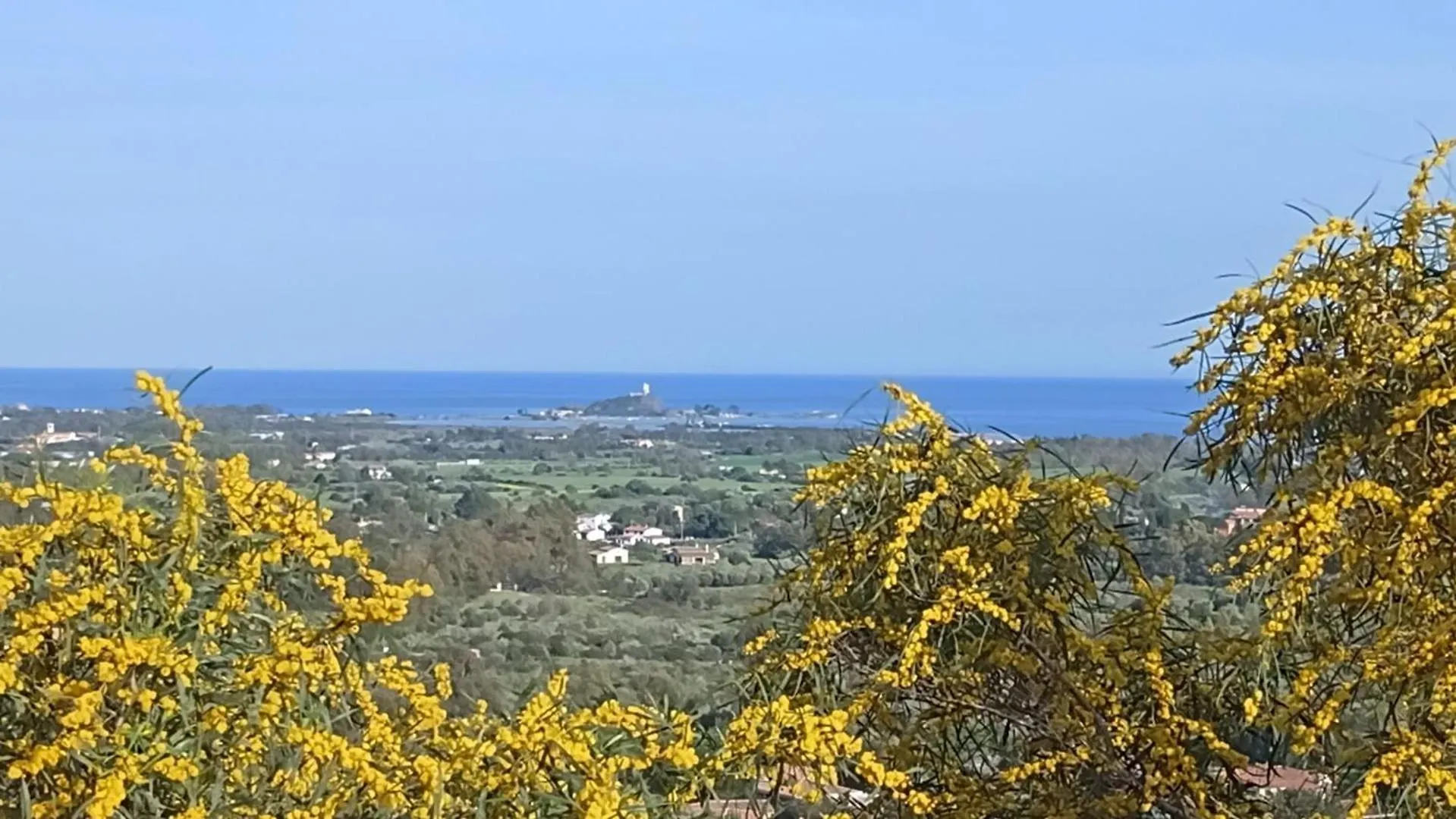 La Pecorella In Vacanza Iun R3384 Pula 0*,